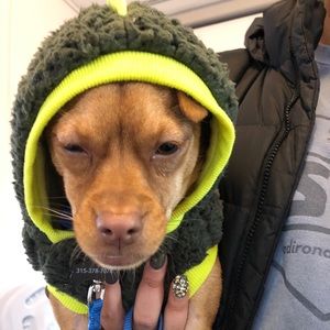 Meet your Posher, Robyn